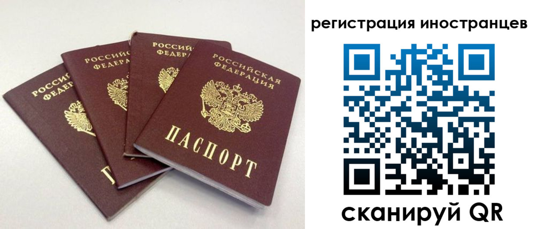 временная регистрация для школы в Липецкая области